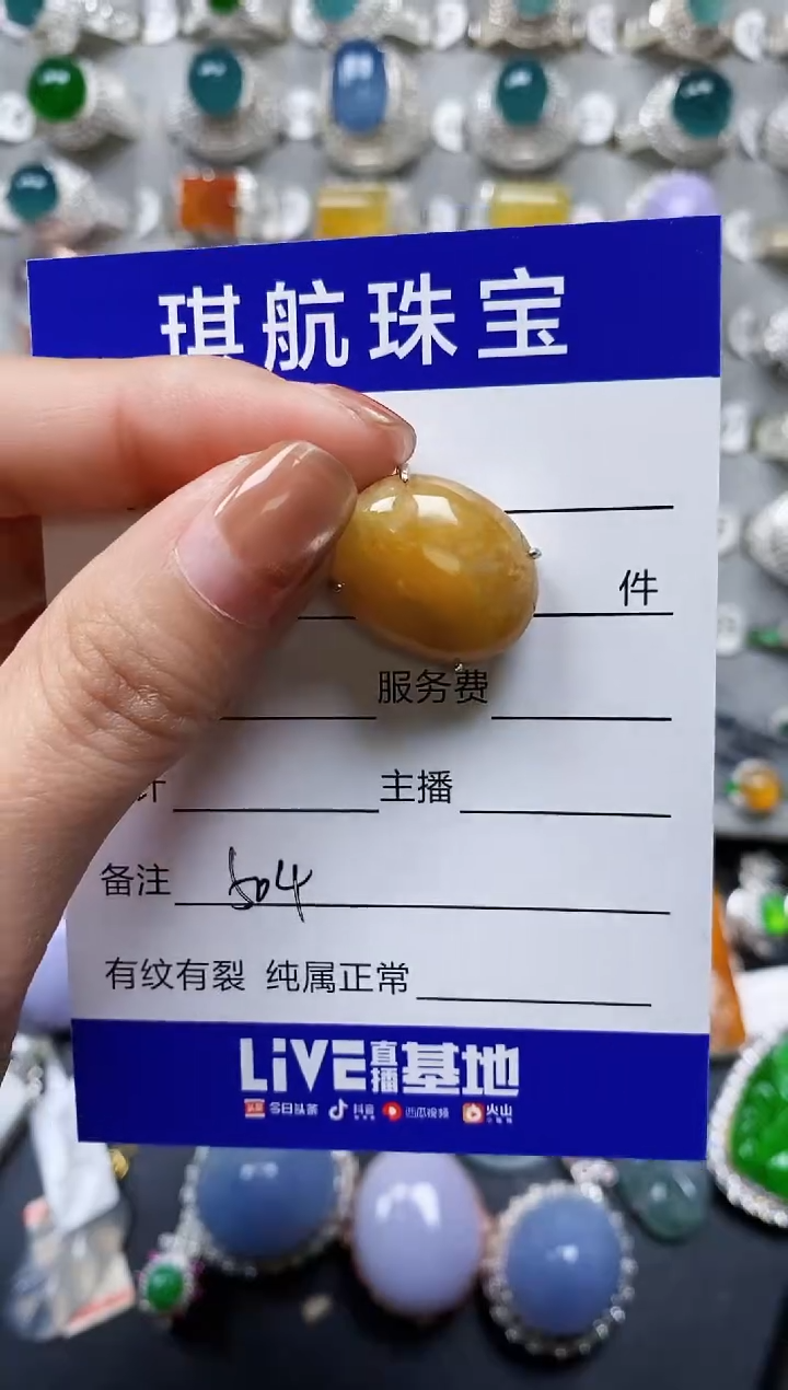 【闪购商品】翡翠颈饰银S925镶嵌0504