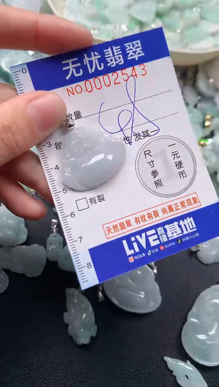 颈饰未镶嵌翡翠2543