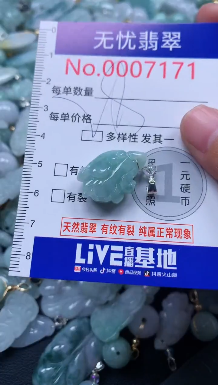 颈饰未镶嵌翡翠7171