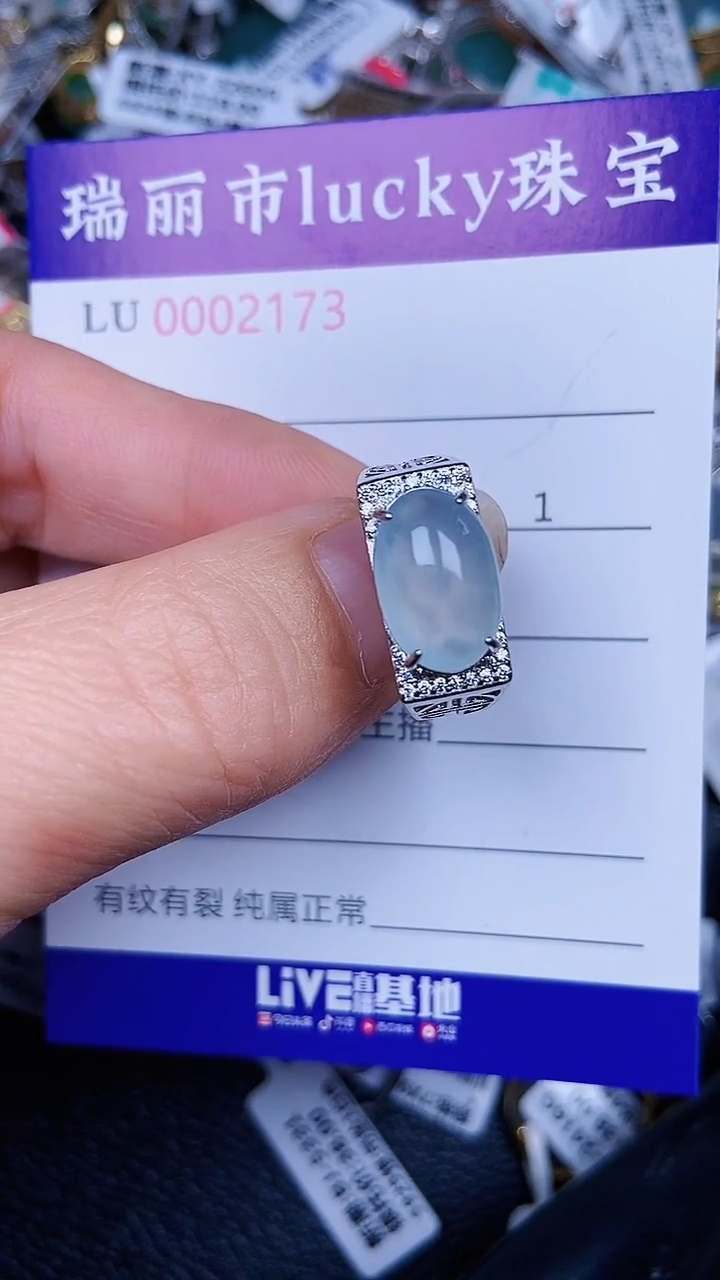 颈饰银S925镶嵌翡翠2173