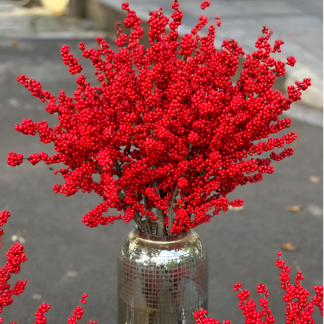 70厘米北美冬青天物状元红AA级鲜切花顺丰空运包邮