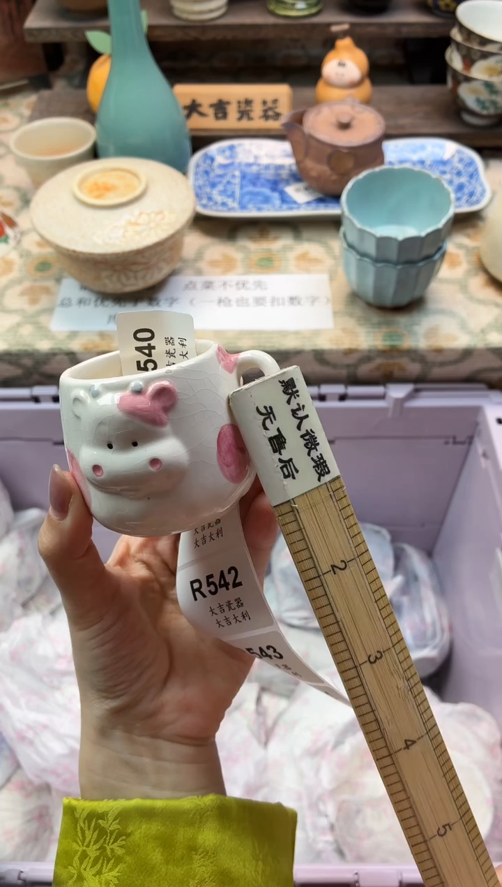 瓷器团**宝   R540 