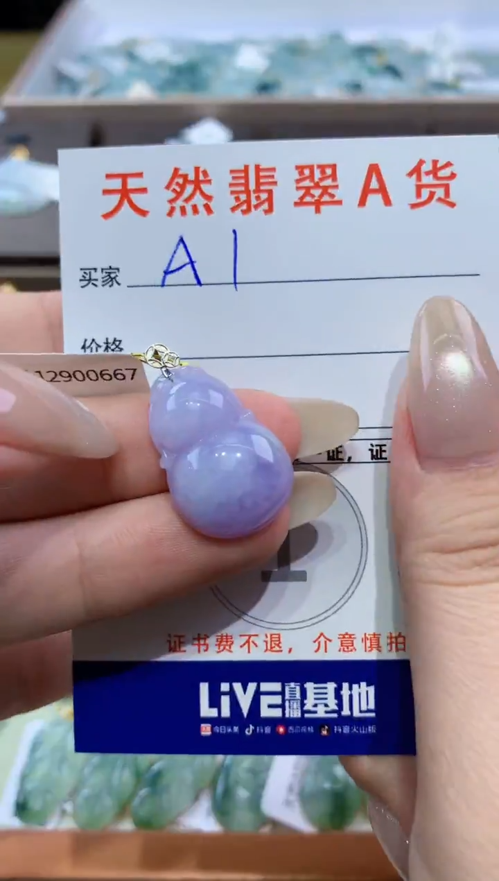 颈饰18K金镶嵌翡翠天然翡翠A货挂件