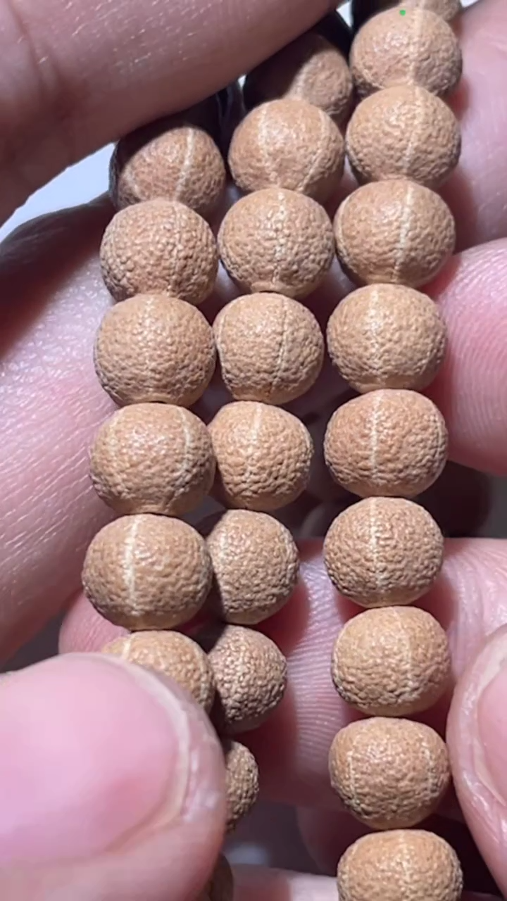 【闪购商品】五线菩提手串1811-061老树