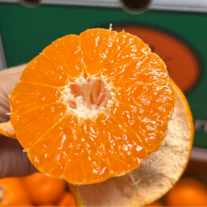 澳洲橘5斤装 进口水果超级甜 顺丰包邮 S