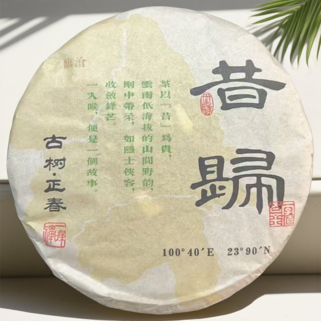 【茗顶之源】2025年 昔归 正春古树春料 生茶 357克饼