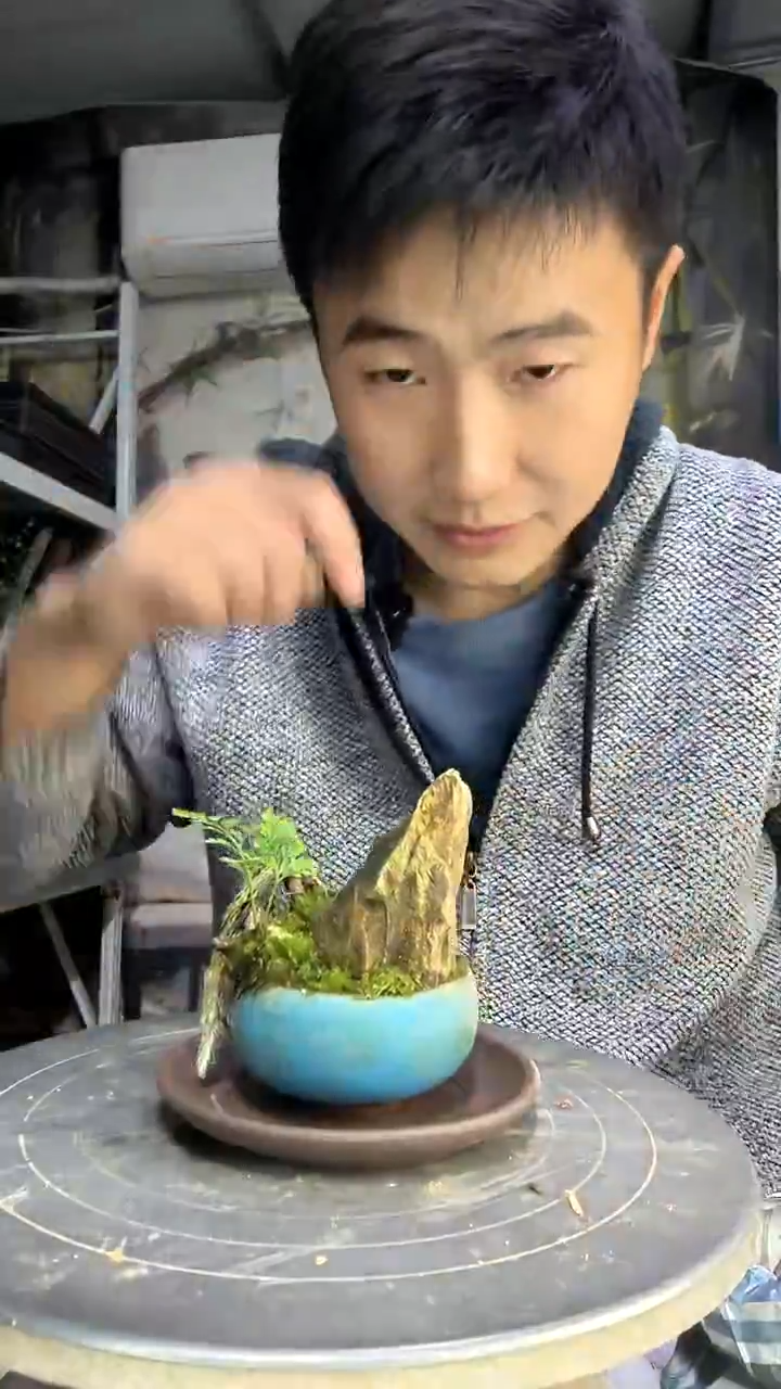 阿*中青园艺一物一拍187