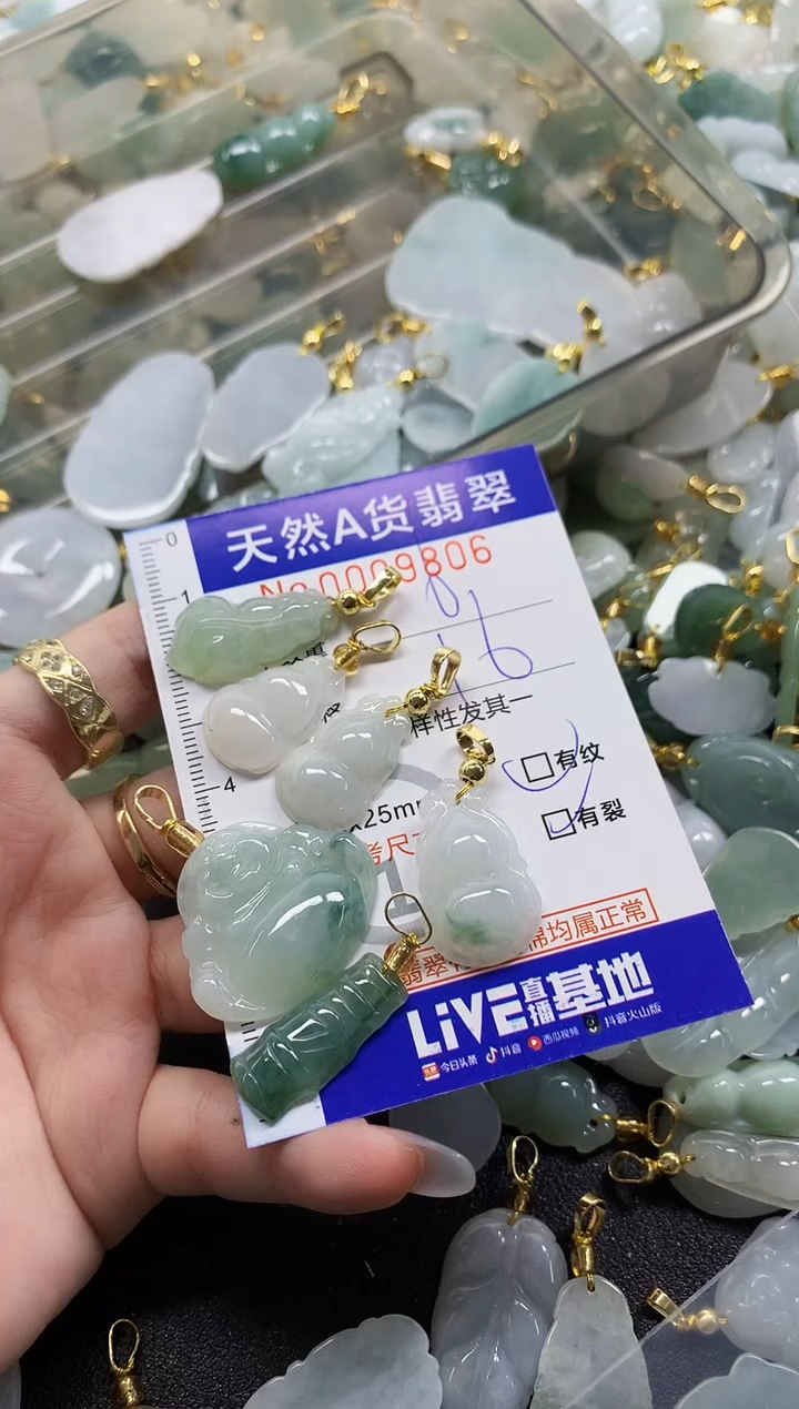 颈饰未镶嵌翡翠我**贝天然A货翡翠