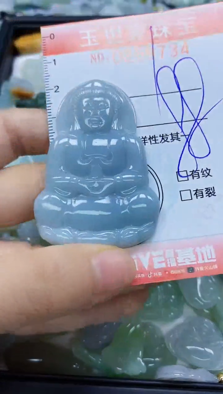 翡翠未镶嵌颈饰闪购0259734