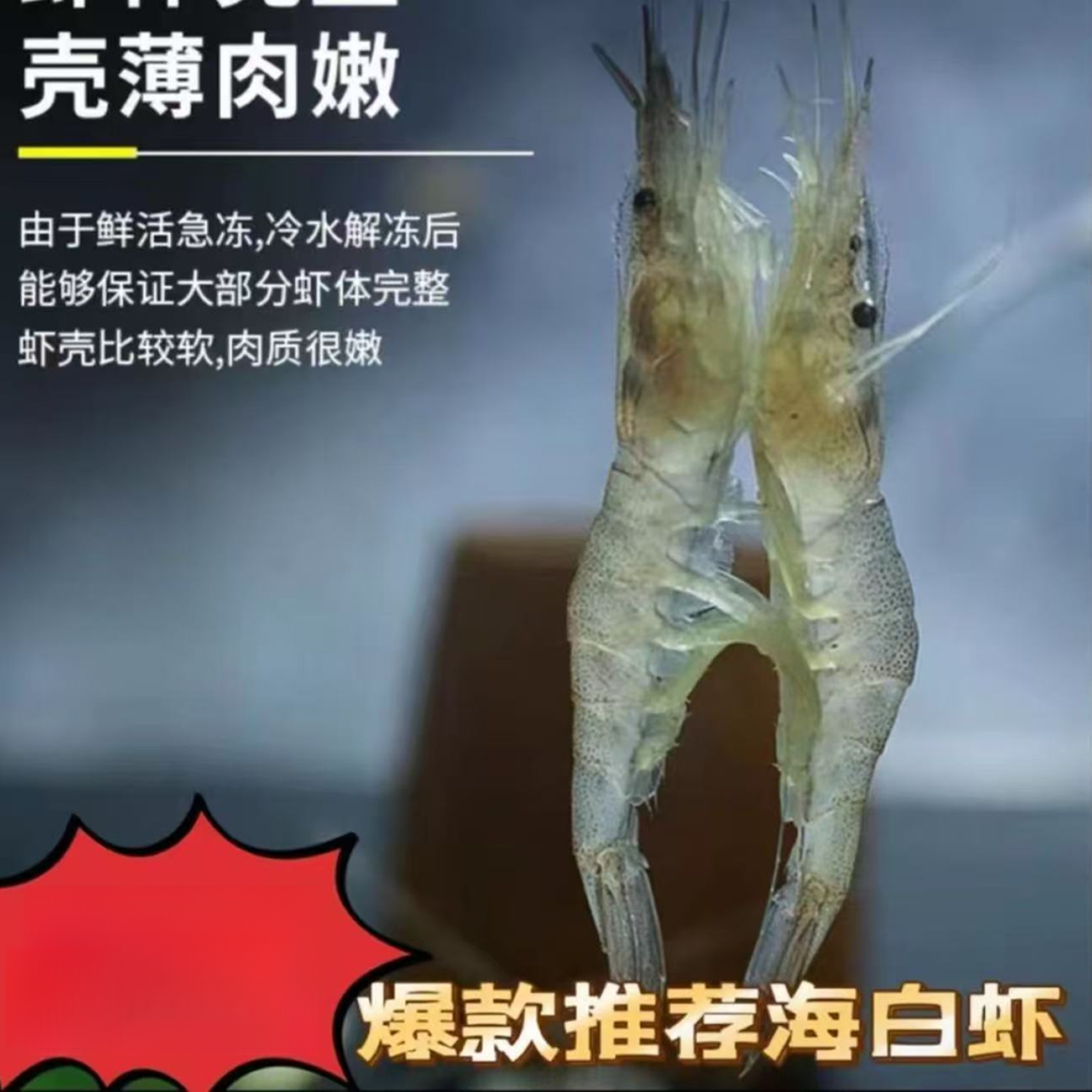 SF【5斤】海捕速冻小白虾肉质鲜嫩 小虾 嫌小勿拍