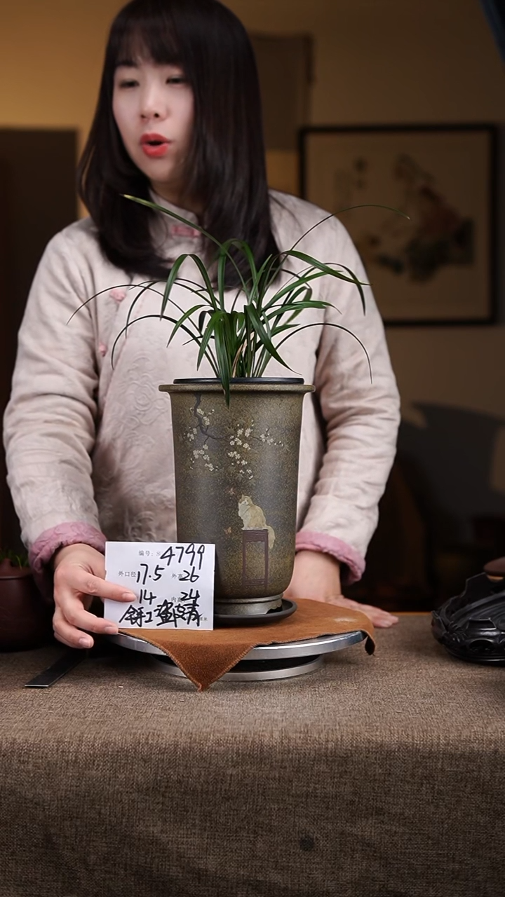 【闪购商品】紫砂花盆紫砂花盆4799+z