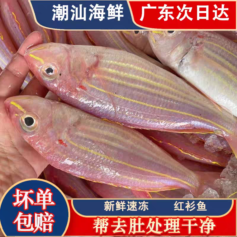 潮汕神泉本港野生新鲜海捕金线鱼