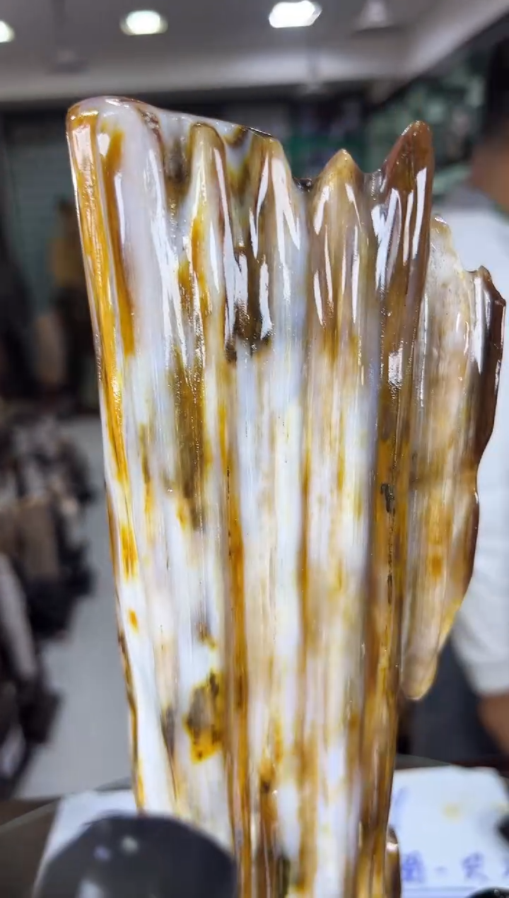 未镶嵌珠宝奇石硅化玉缅甸天然树化玉精品摆件