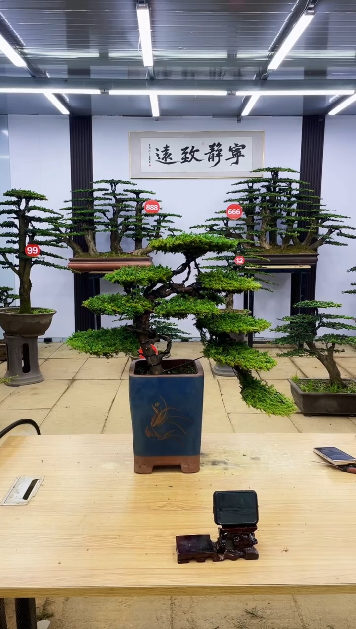 【闪购商品】000000000
