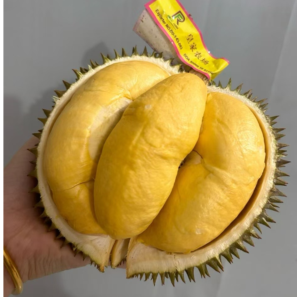 【一物一拍 整果】泰国新鲜金枕榴莲  2-10斤 同城配送 核小金枕泰国