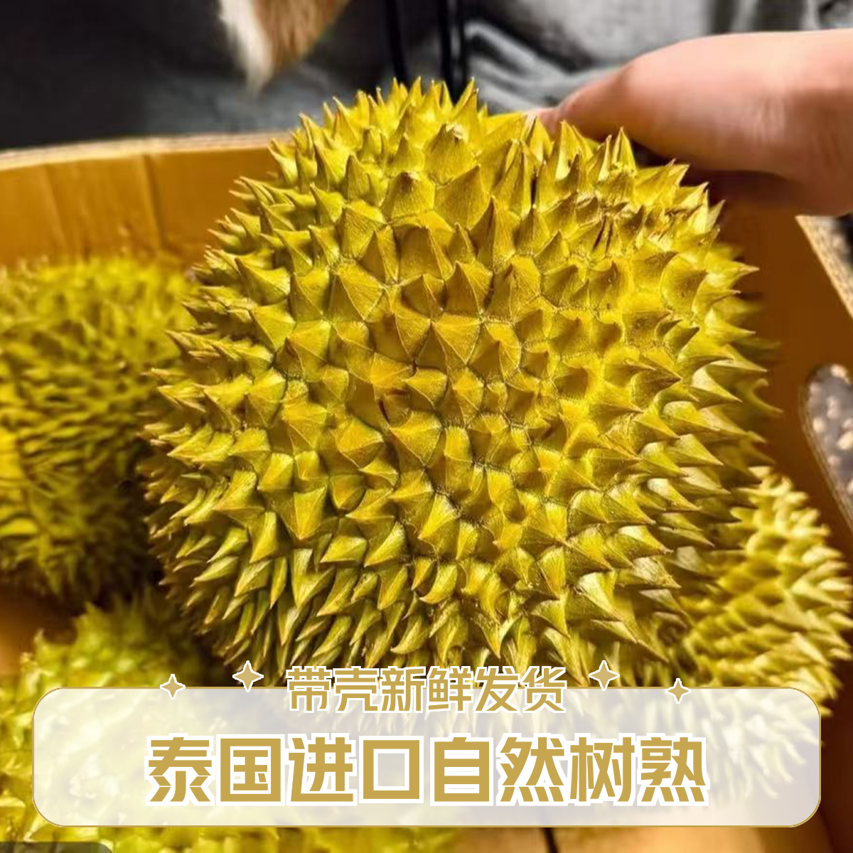 SF【AA精品果】泰国进口自然树熟金枕鲜榴莲甄选香甜软糯顺丰空运包邮2-9斤肉厚核小干包黄肉金枕泰国东部