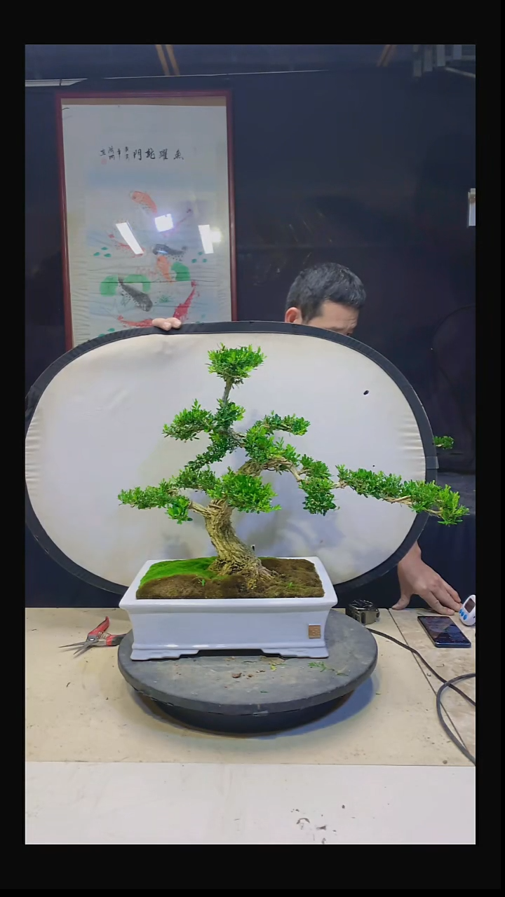 无花朵?****?1111111111