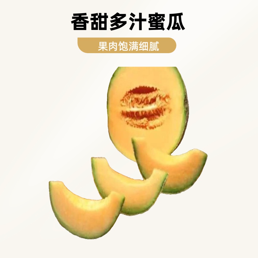 【基地直采】海南哈密瓜 一个 约3斤