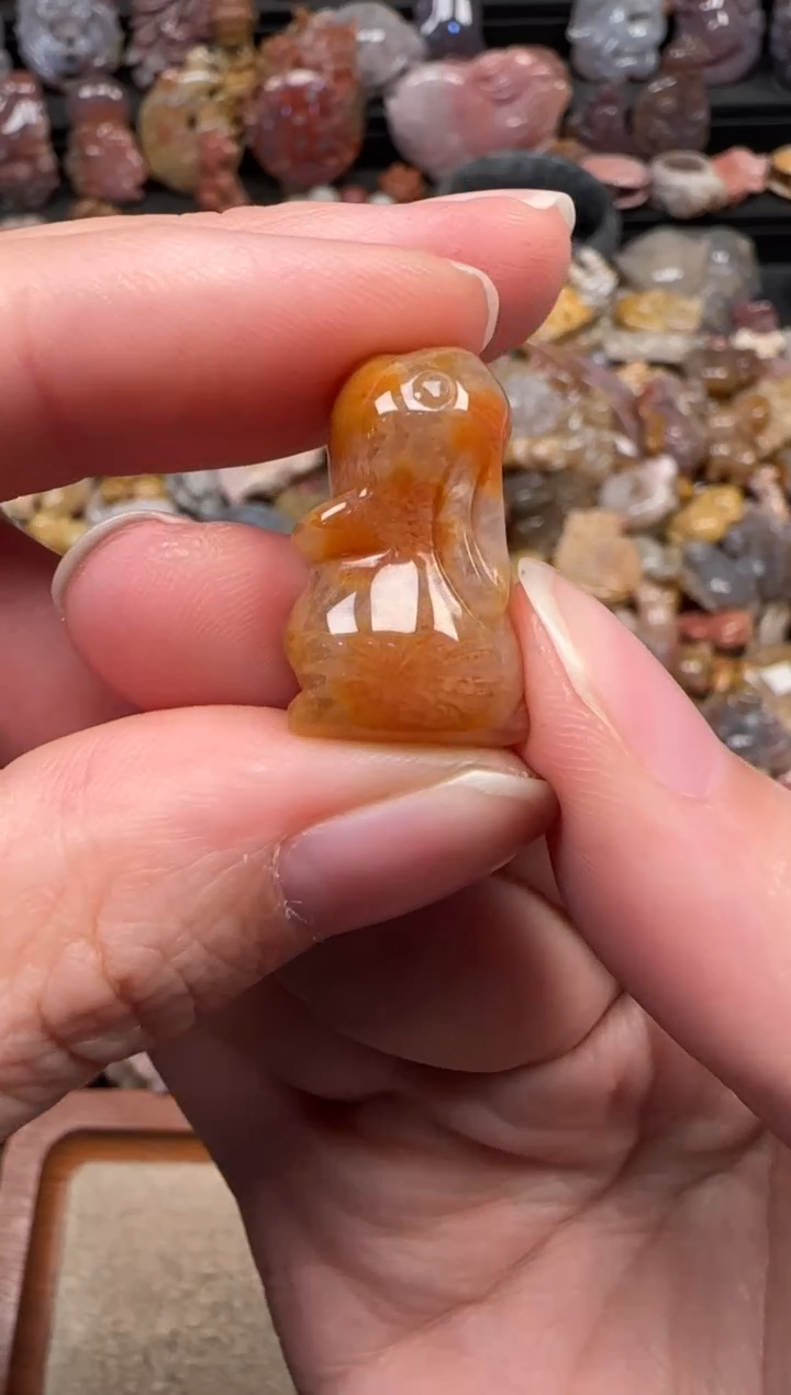 颈饰未镶嵌硅化珊瑚（珊瑚玉）434