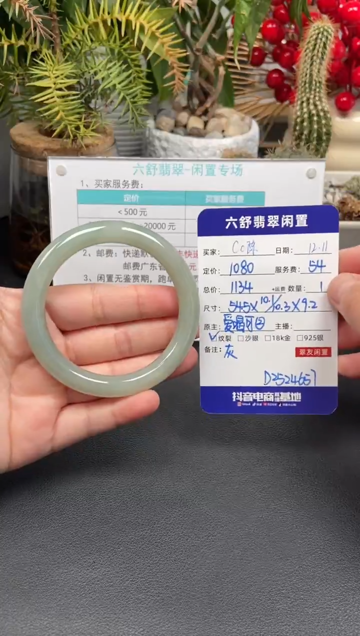 未镶嵌手镯翡翠C*陈D2524657