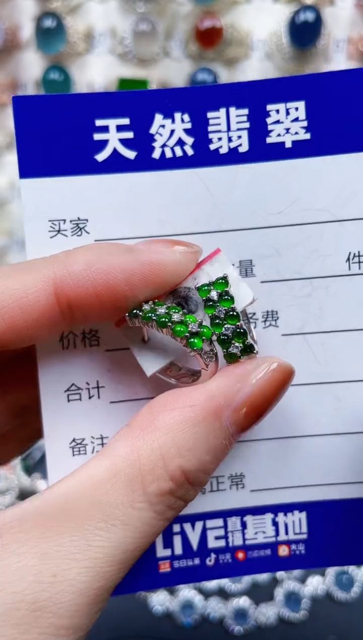 银S925镶嵌翡翠耳饰574