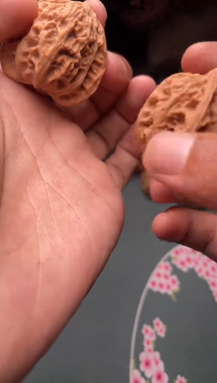 核桃a286       霞云岭   