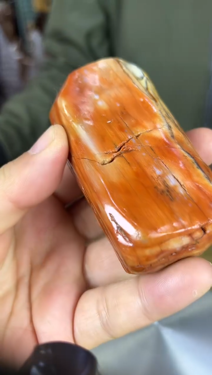 未镶嵌珠宝奇石硅化玉缅甸天然树化玉手把件