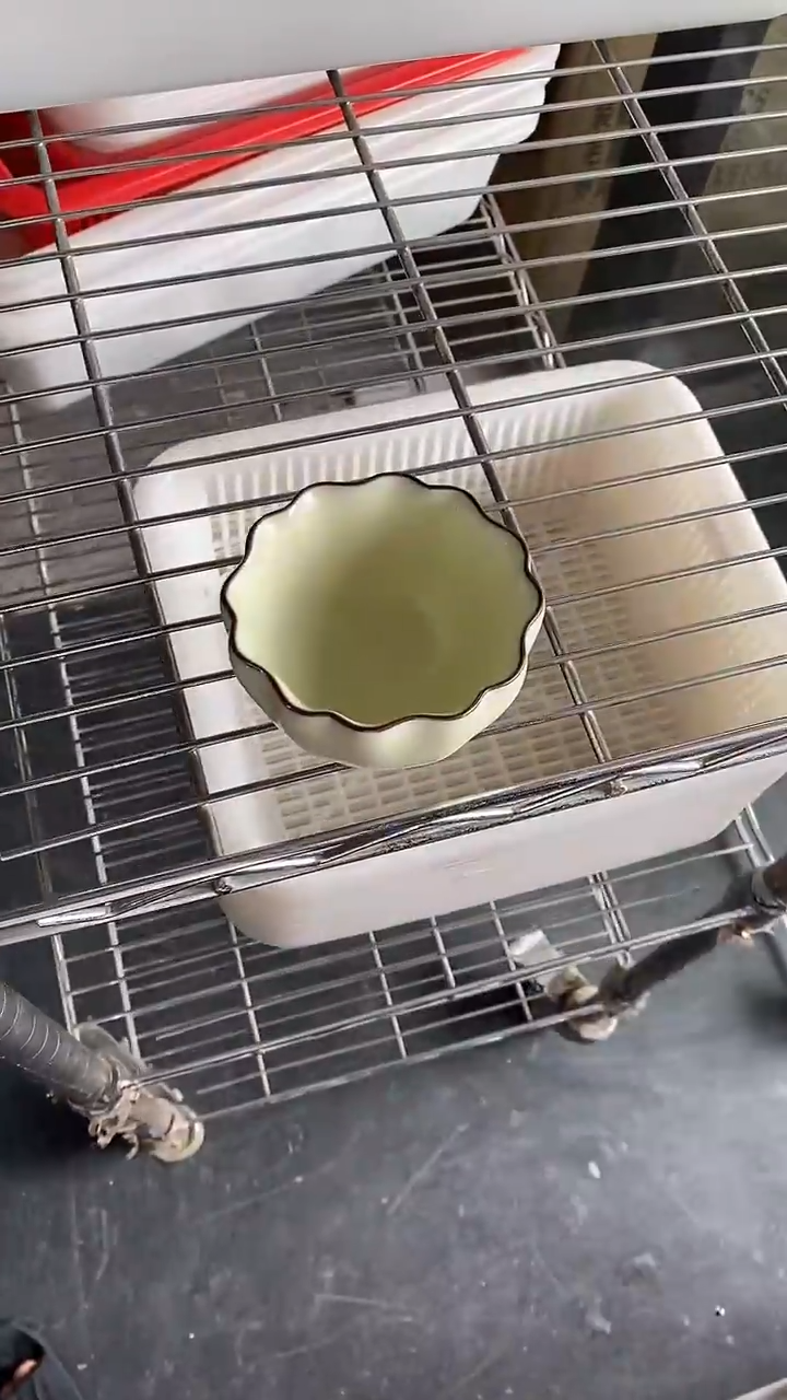 瓷片陶瓷茶器福利B025