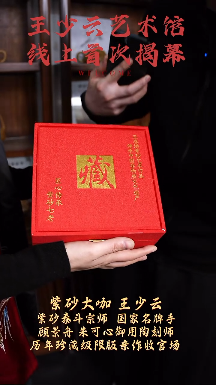 【k011】茶壶宜兴紫砂WSY