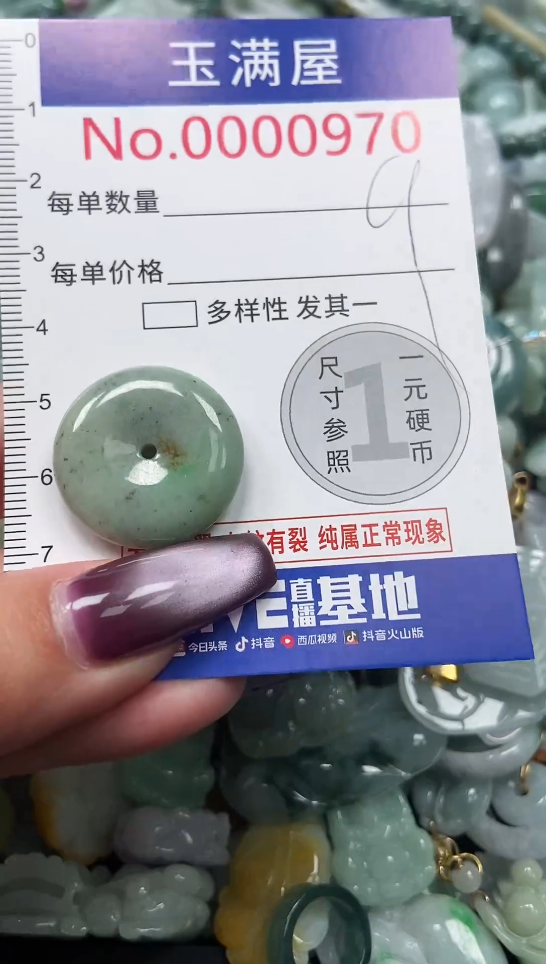 颈饰未镶嵌翡翠970