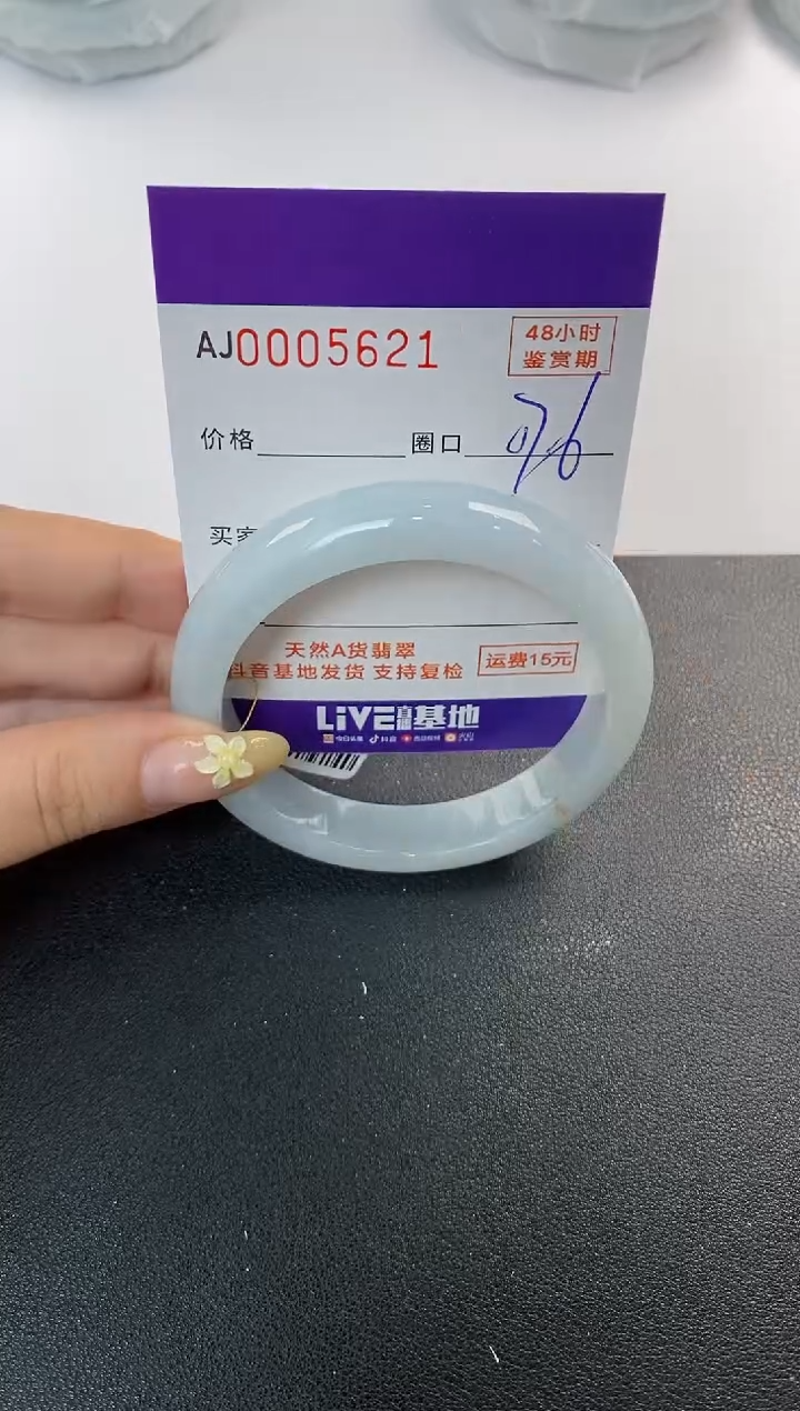 未镶嵌手镯翡翠天然A货翡翠