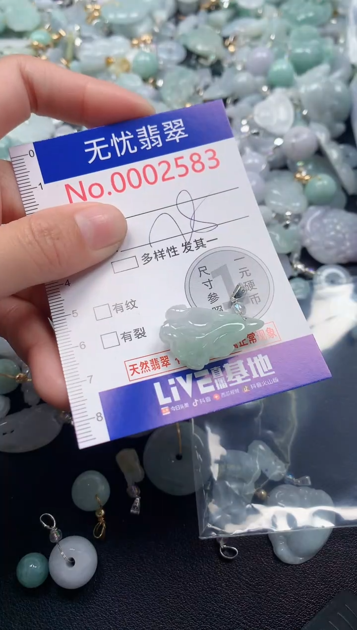 颈饰未镶嵌翡翠2583