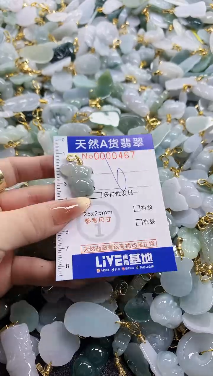 颈饰未镶嵌翡翠天然A货翡翠