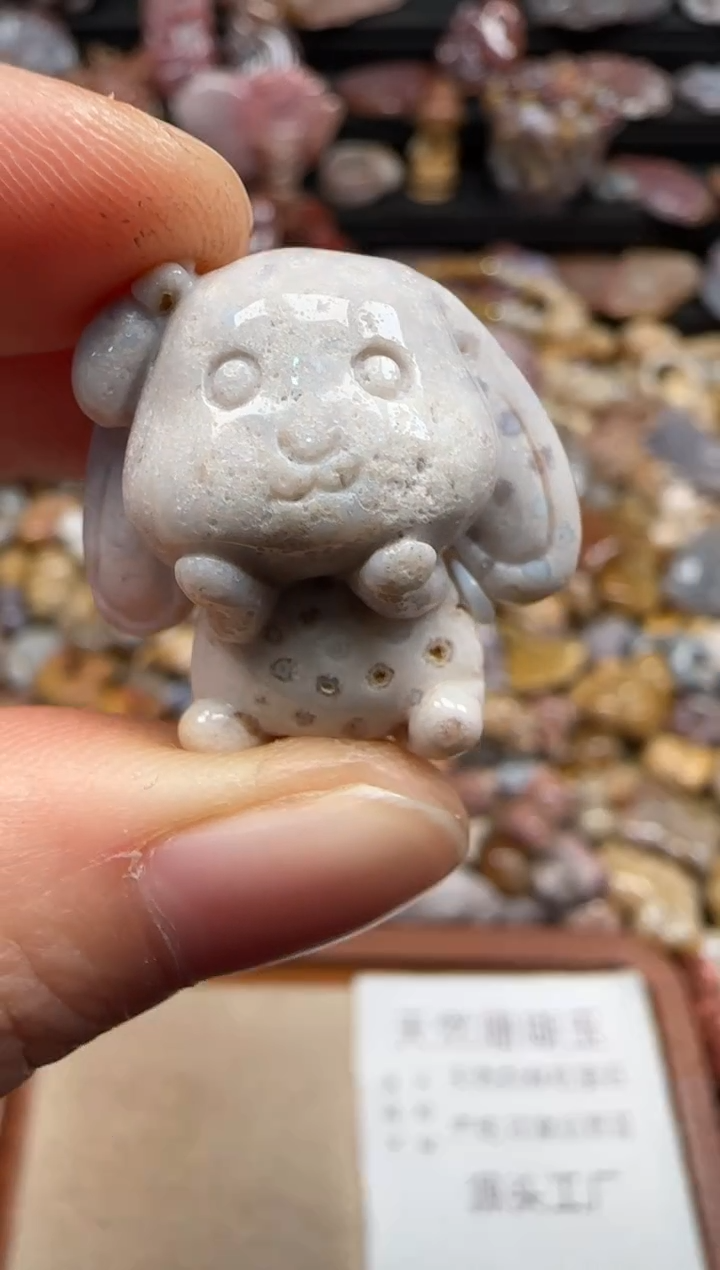 【闪购商品】硅化珊瑚（珊瑚玉）颈饰未镶嵌626