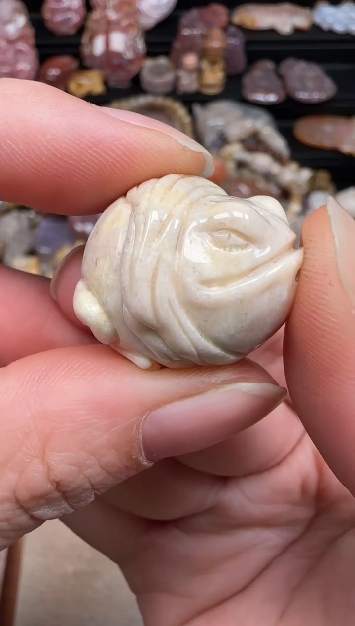 硅化珊瑚（珊瑚玉）未镶嵌颈饰286