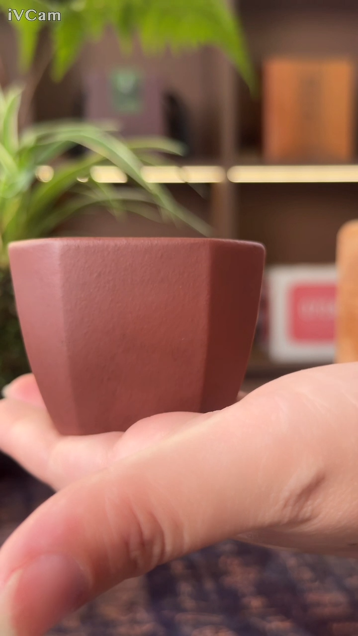 茶杯紫砂原矿紫砂小杯1个