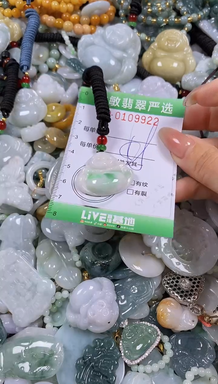 【闪购商品】翡翠颈饰未镶嵌闪购0109922