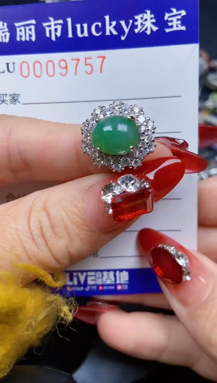 【闪购商品】翡翠颈饰银S925镶嵌9757