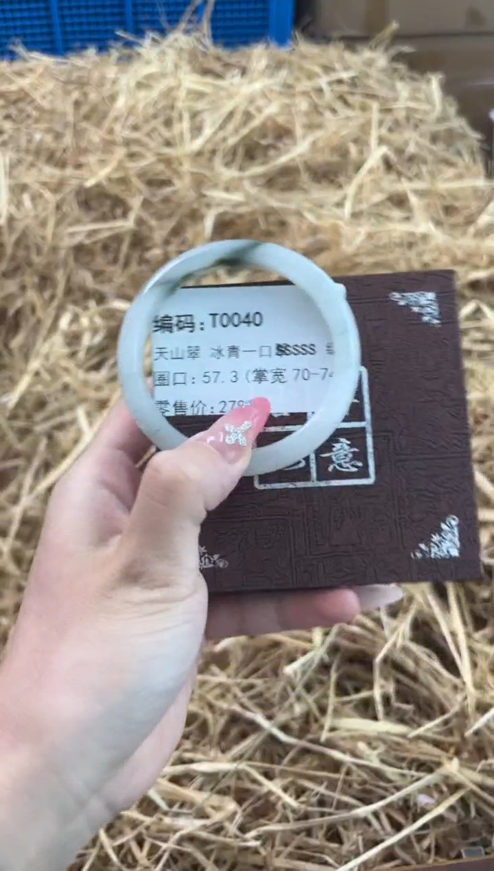 未镶嵌手镯石英质玉T0040