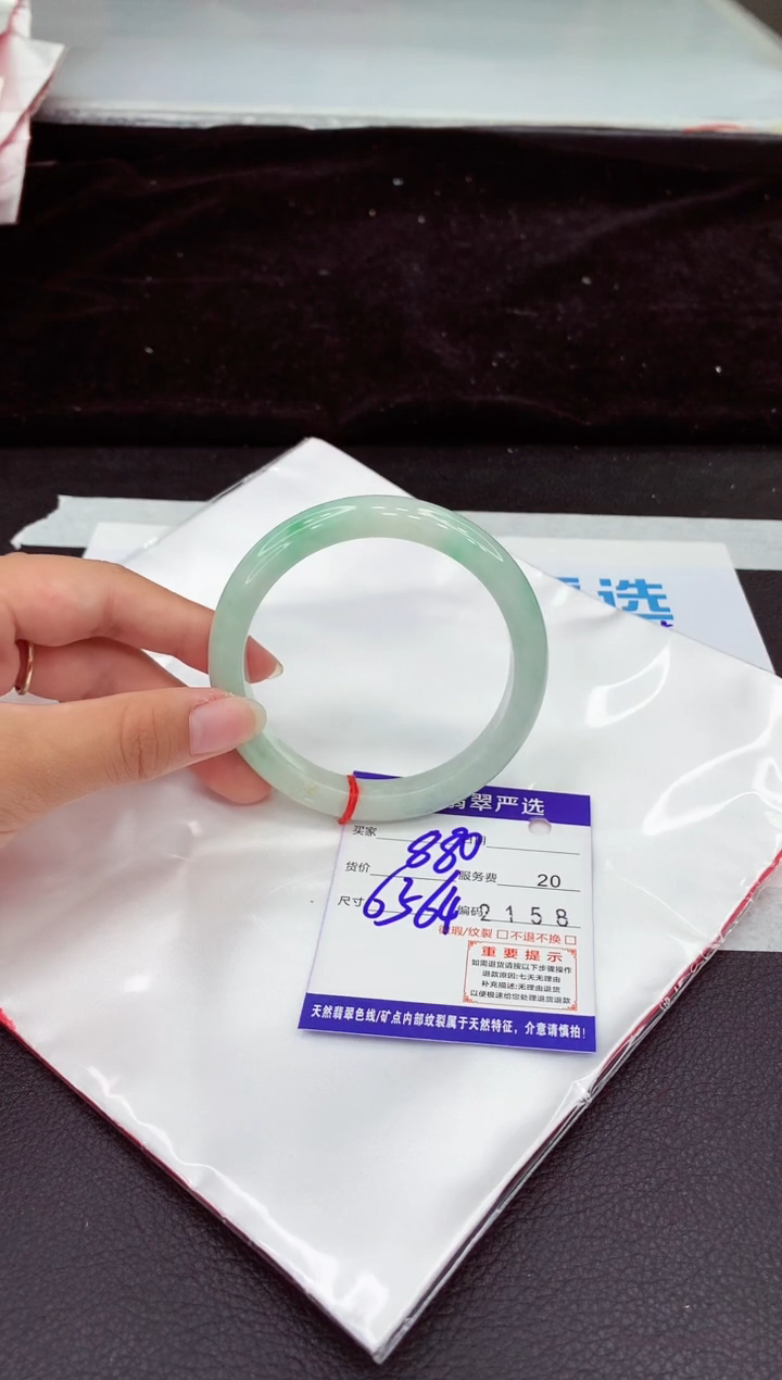 未镶嵌手镯翡翠1