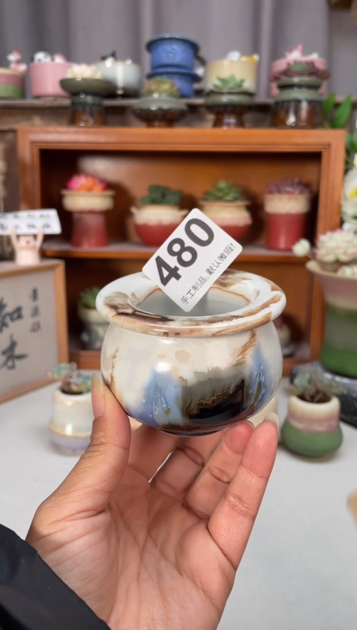 瓷片480小芳直播编号