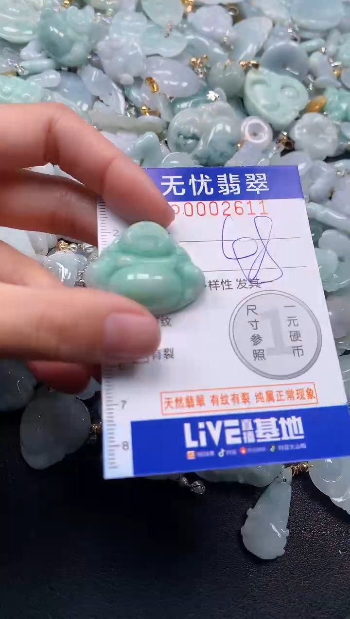 颈饰未镶嵌翡翠2611