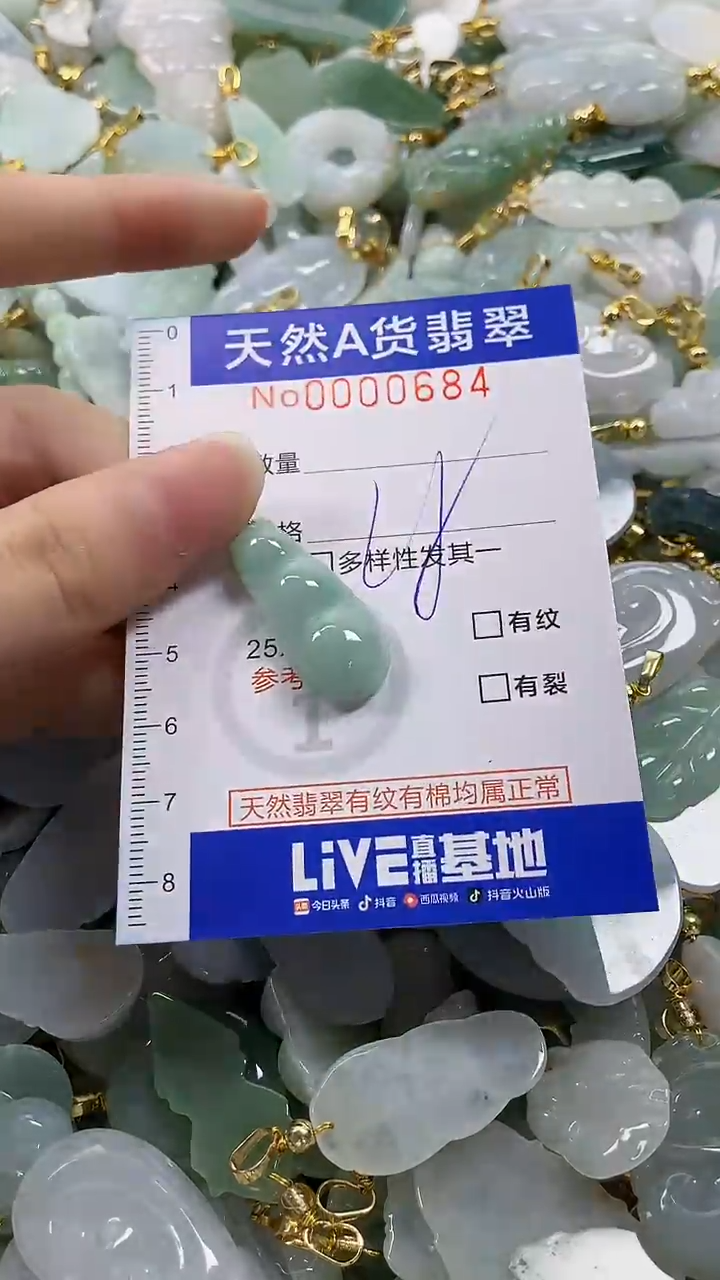 颈饰未镶嵌翡翠纯天然a货翡翠