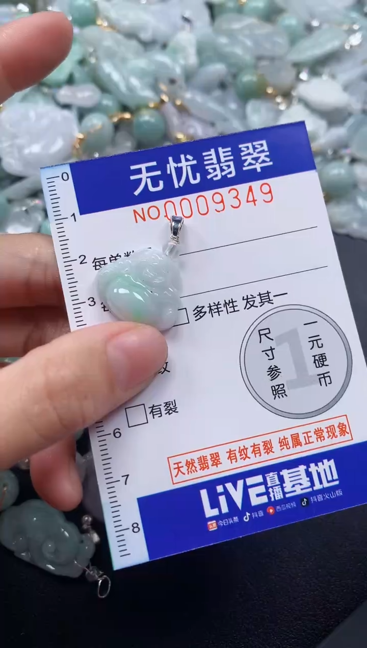 颈饰未镶嵌翡翠9349