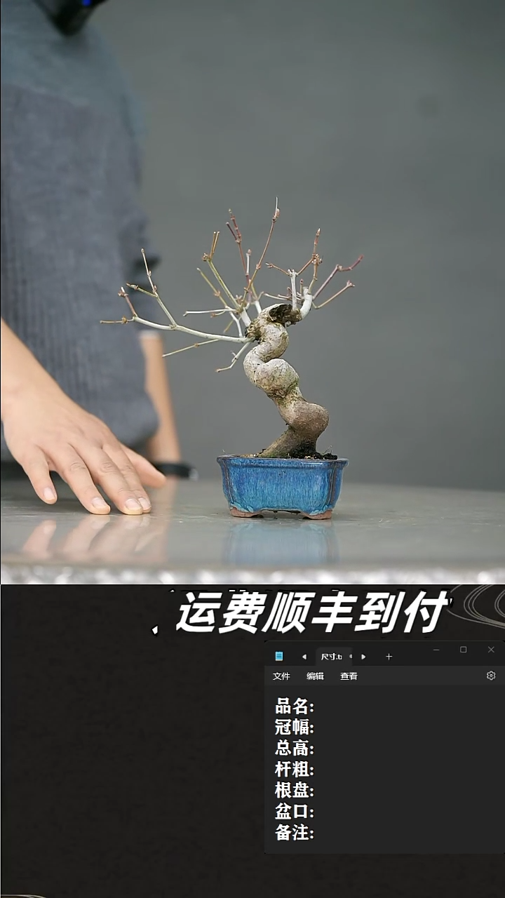 【闪购商品】44    