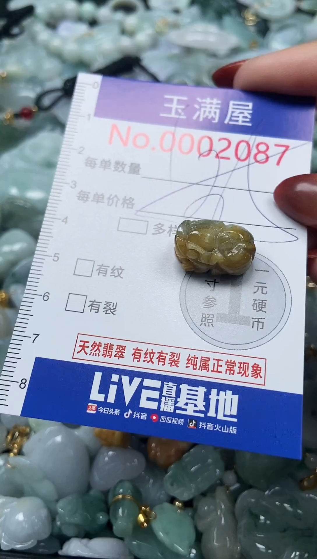 颈饰未镶嵌翡翠2087