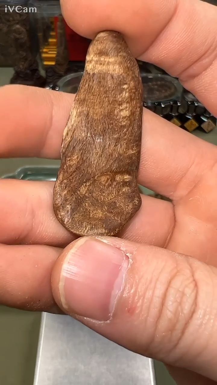 柬埔寨沉水原料3.1g