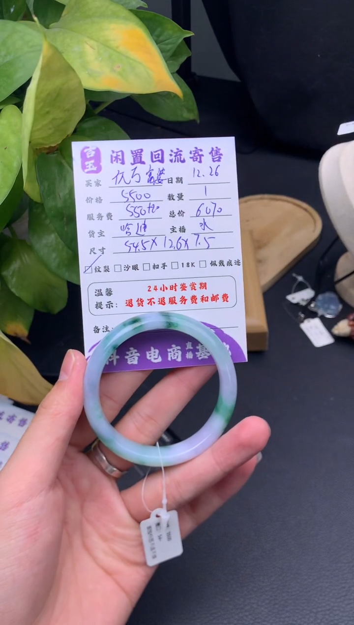 未镶嵌手镯翡翠亿****?手镯