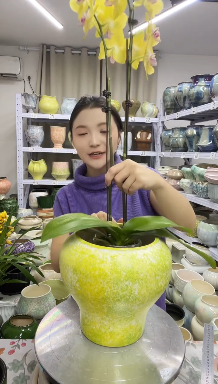 【12.4号】  花盆  高 ：   20 口：15