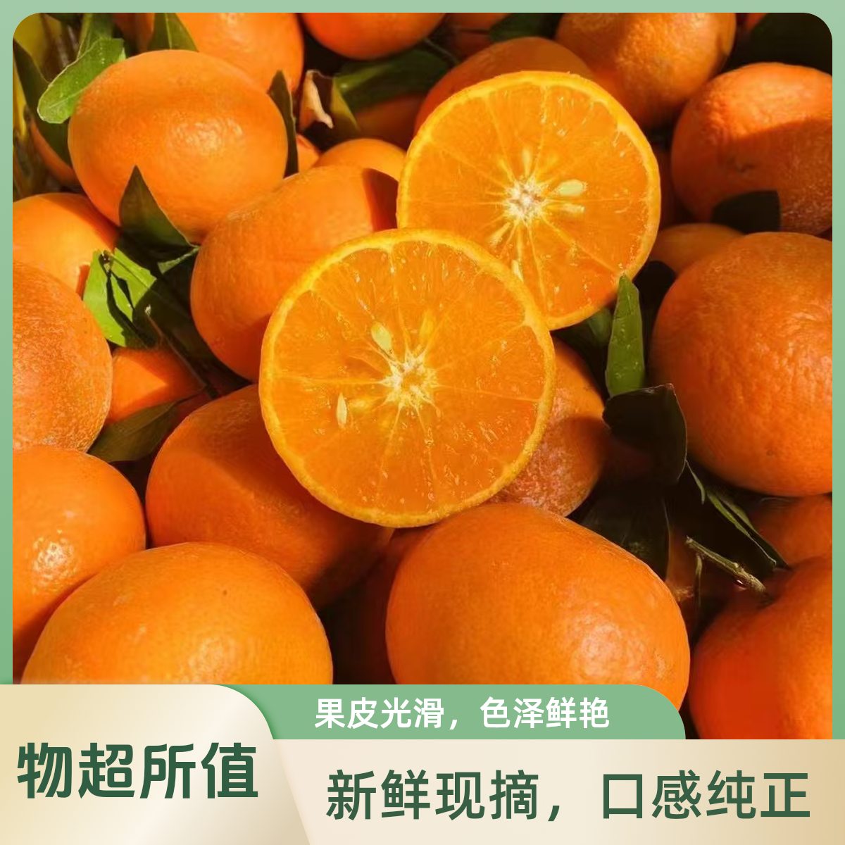 广西武鸣沃柑2500g